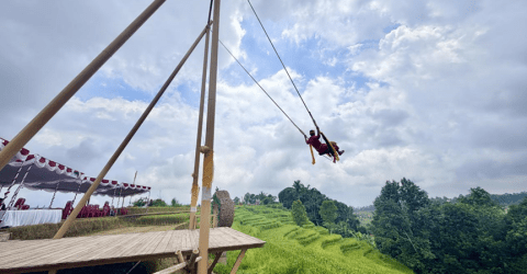 A “Heart-to-Heart Rice” Plant, Continuing Yunnan and Bali’s Two-Decade Sister-Province Friendship
